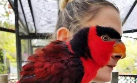 Photographies prises à l'instant décisif !